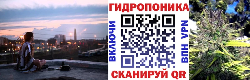 Конопля конопля  купить наркотики сайты  Новоржев 